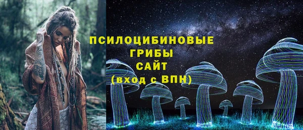 а пвп мука Верея
