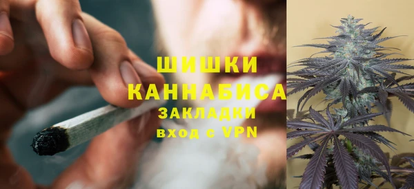 PSILOCYBIN Нефтегорск