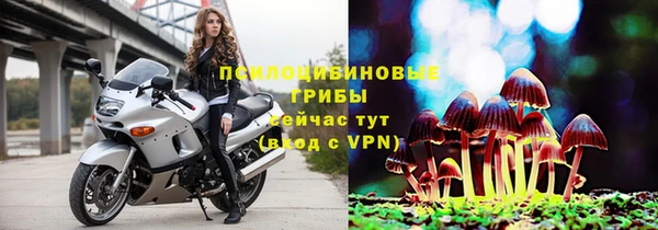 PSILOCYBIN Нефтегорск